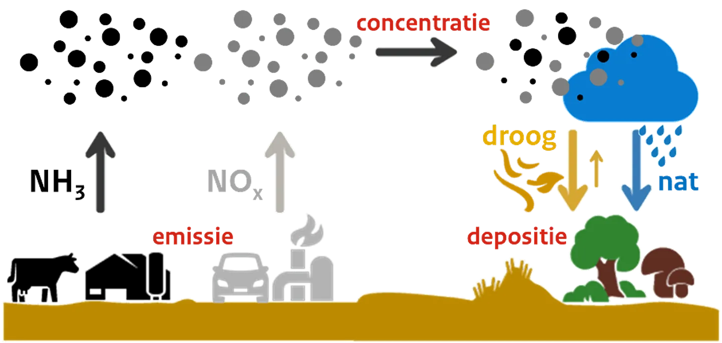 Explication azote - page d’accueil