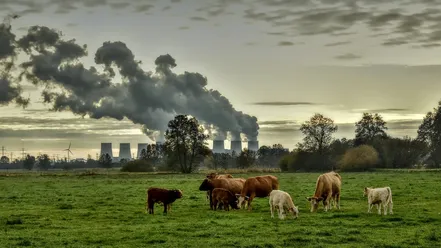 Ecologisch onderzoek en stikstofonderzoek