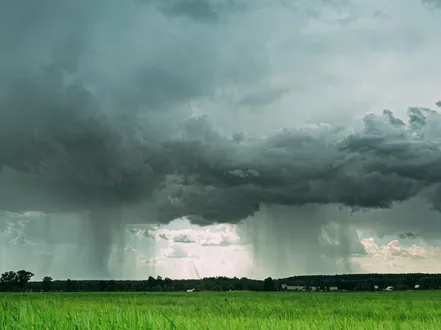 Gestion des eaux pluviales