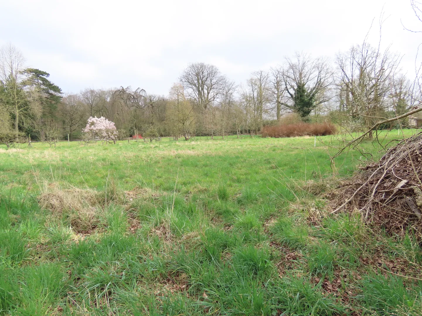 Ontwikkelen met oog voor natuur