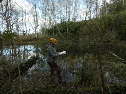 Inventarisaties en monitoring