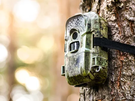 Ecologisch onderzoek camera