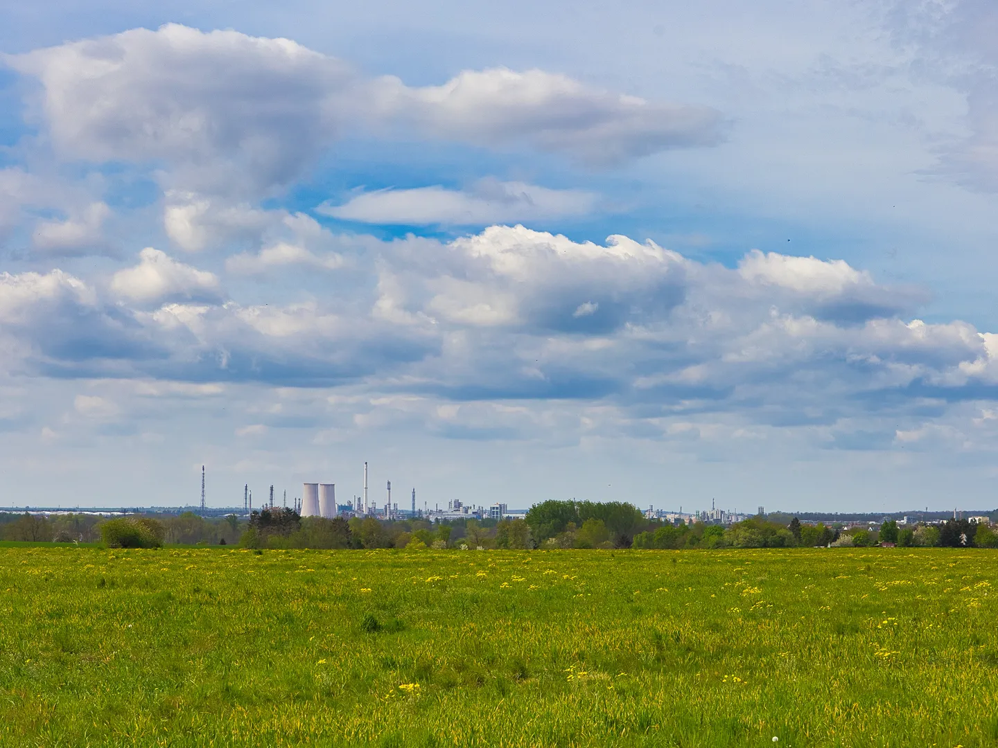 Grasland bedrijf