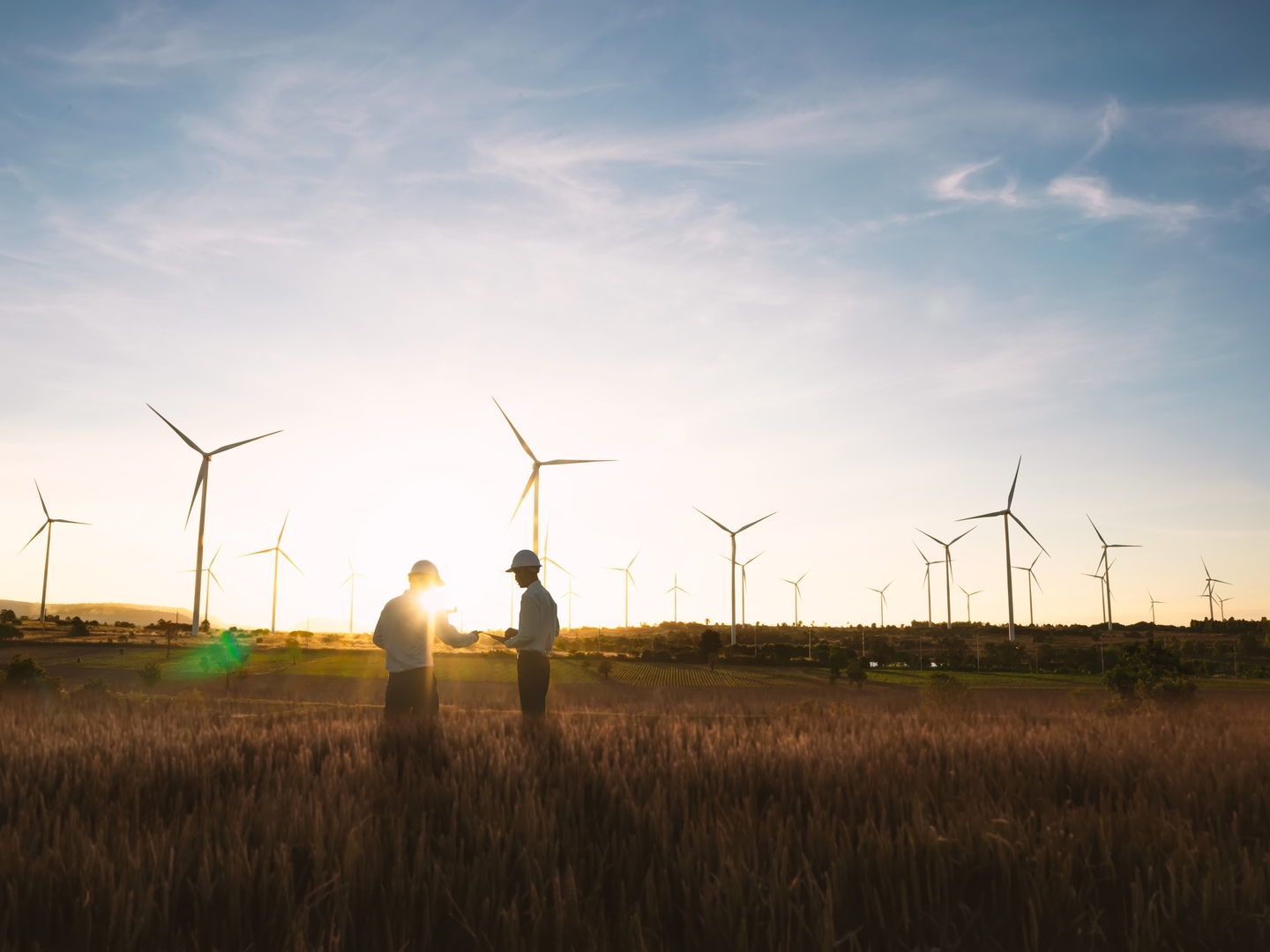 Analyse environnementale d’un projet éolien en Wallonie