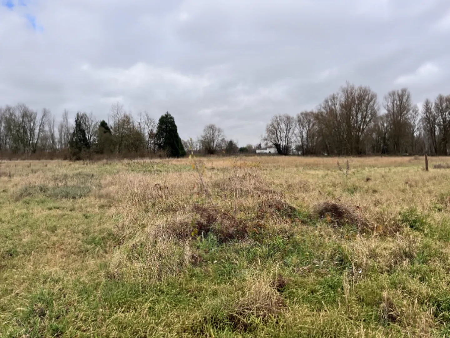 Stadsontwikkelingsproject in Halen