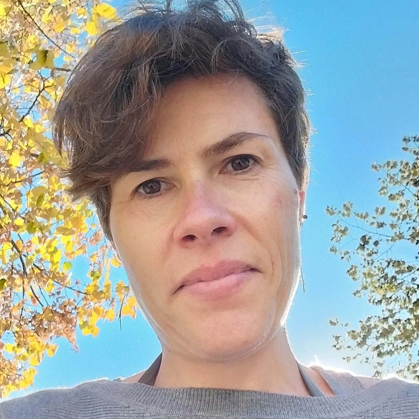 Delphine embridge be